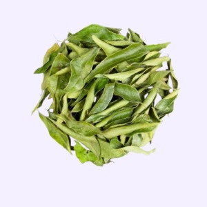 WhatsApp Image 2025-05-11 at 12.03.42 AM (1)