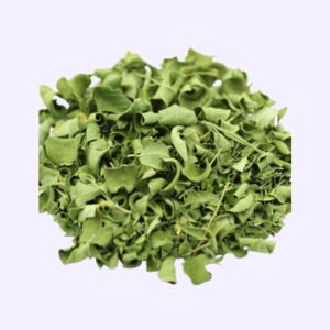 WhatsApp Image 2025-05-11 at 12.03.42 AM